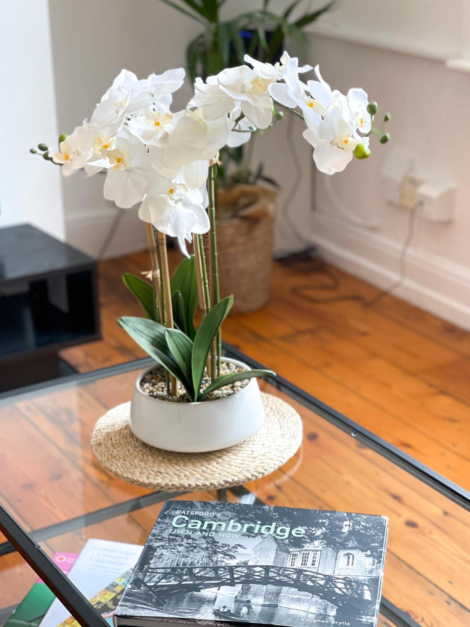 Fantastic Victorian House, Excellent City Location - Cambridge Homehost Bagian luar foto